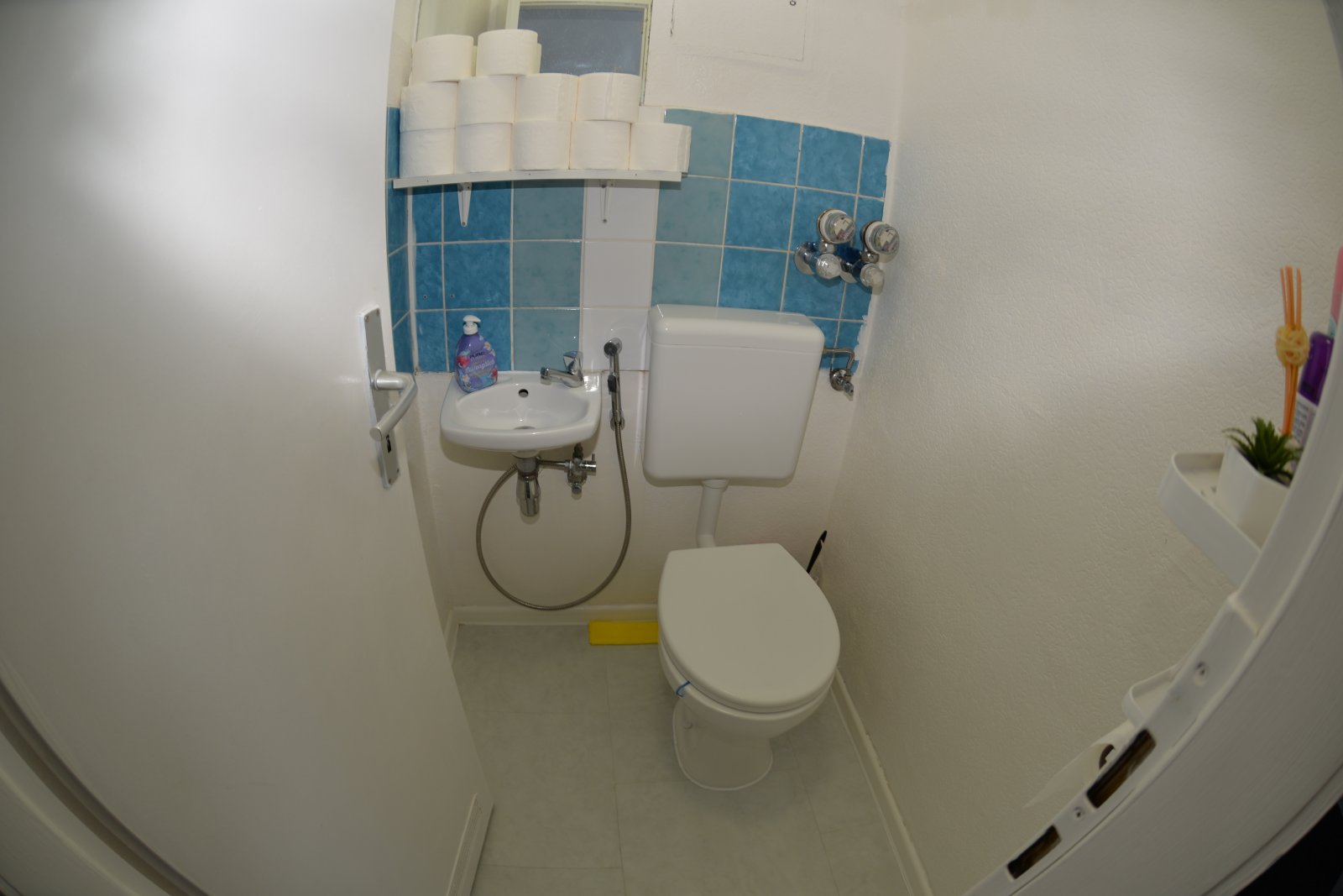 5 Zimmer Wohnung in Meschenich