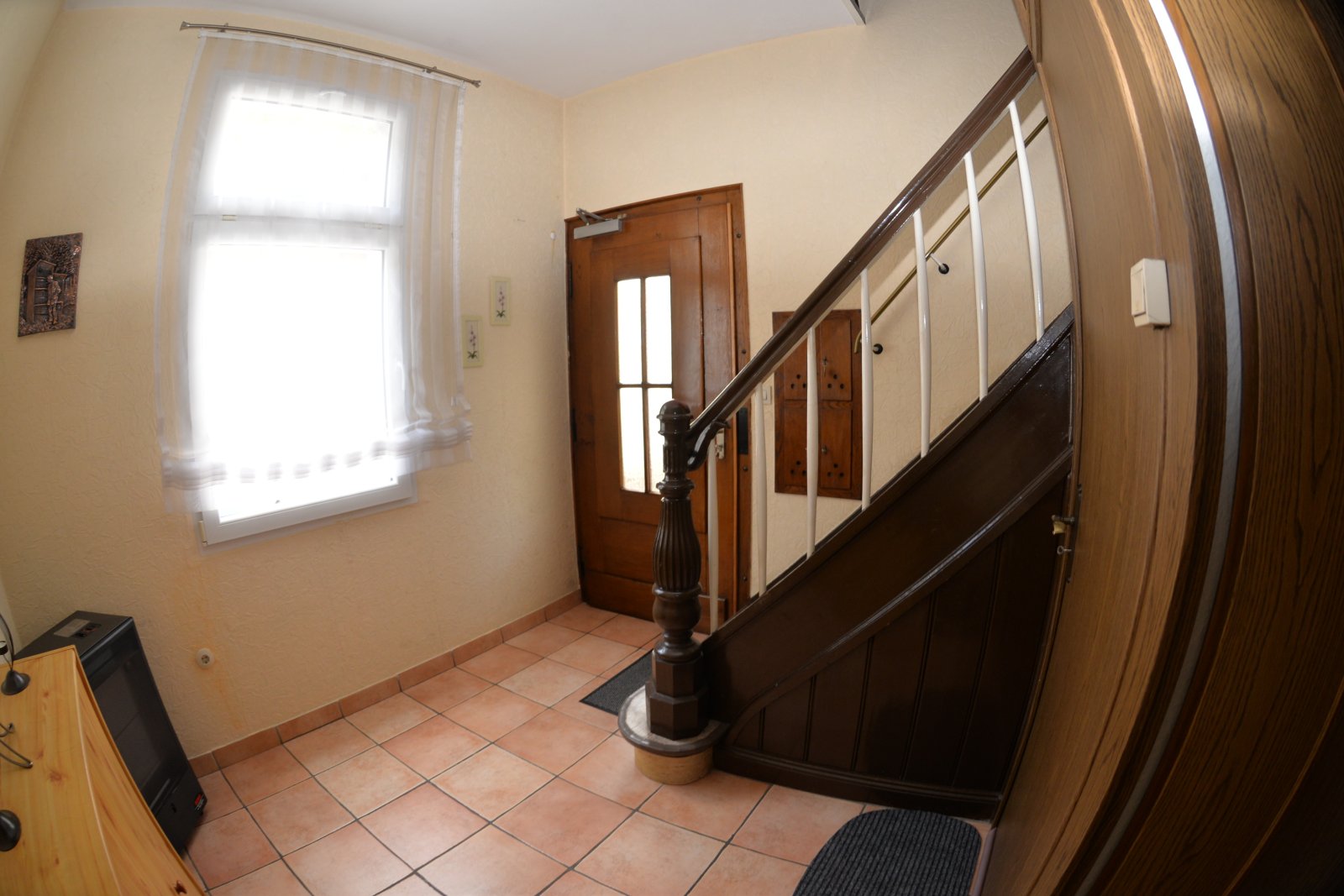 DSC 6564 DSC 6564