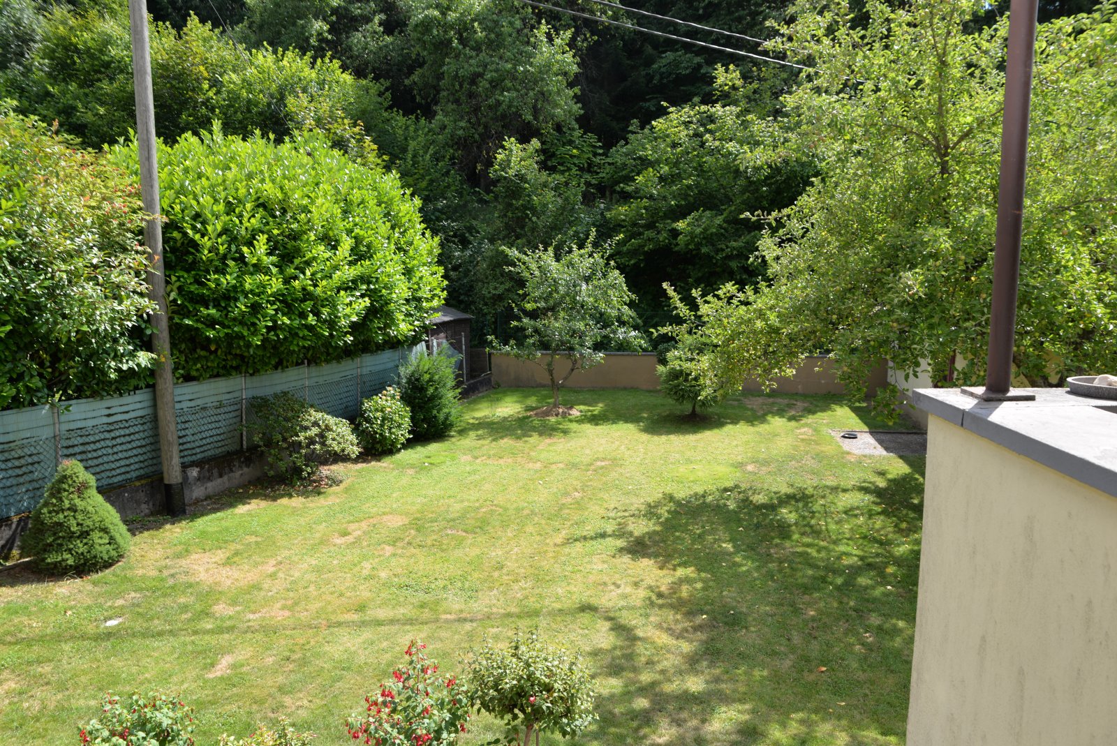 Garten Garten