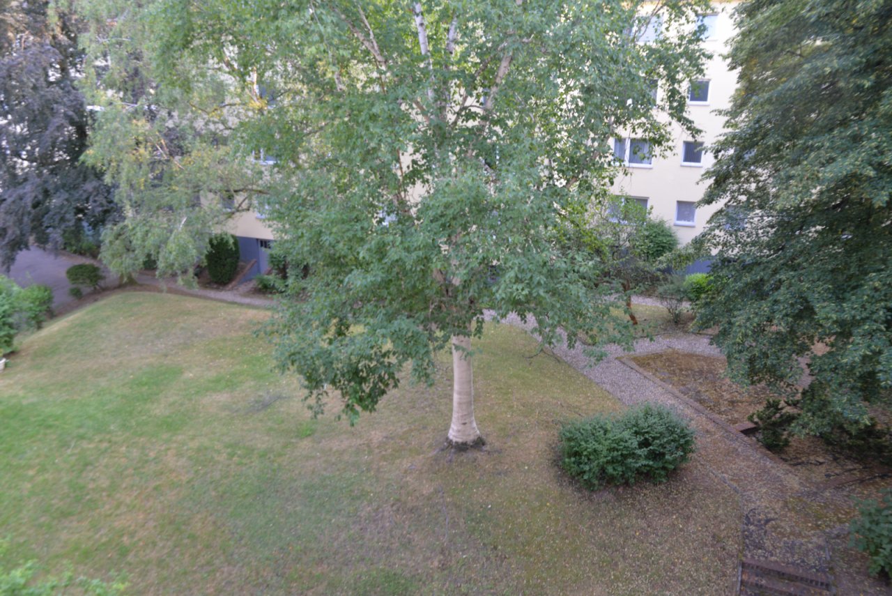 Garten Garten