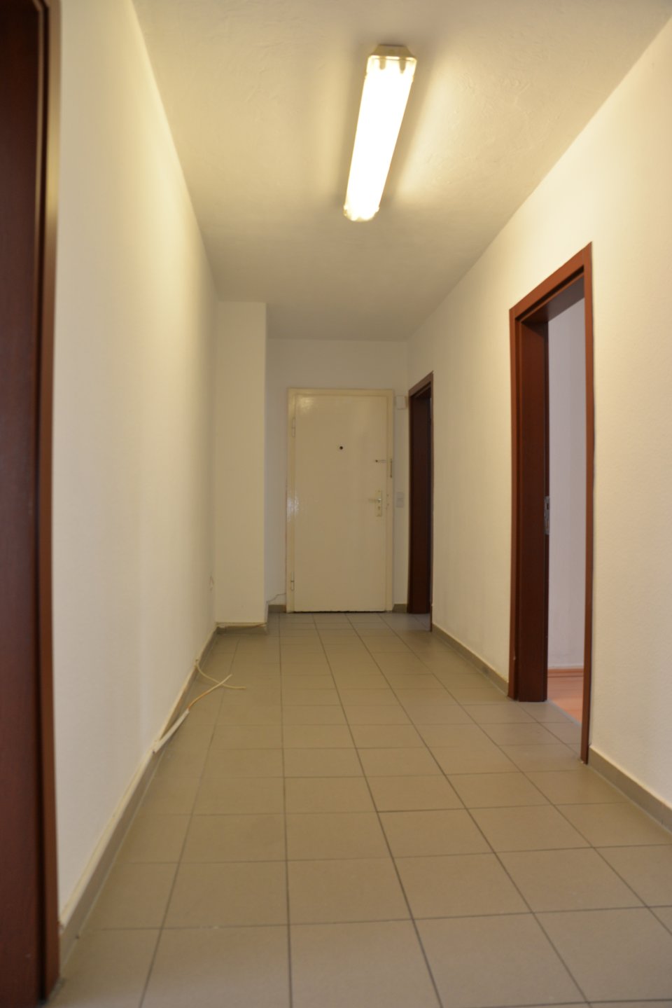 DSC 5152